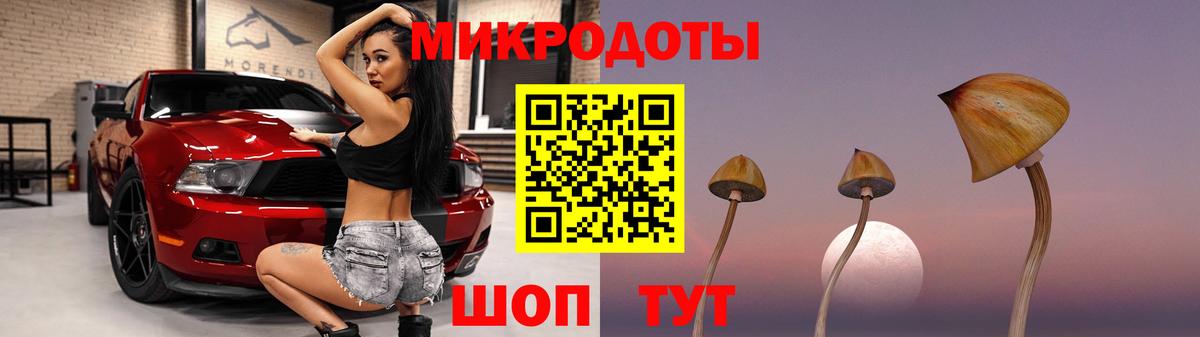 Псилоцибиновые грибы GOLDEN TEACHER Калининград